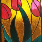 tulips-1b