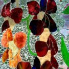 Orchids Galore
