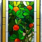 Orange Tree 01.jpg