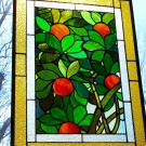 Orange Tree 02.jpg
